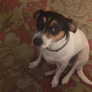 Meet your Posher, Zoe